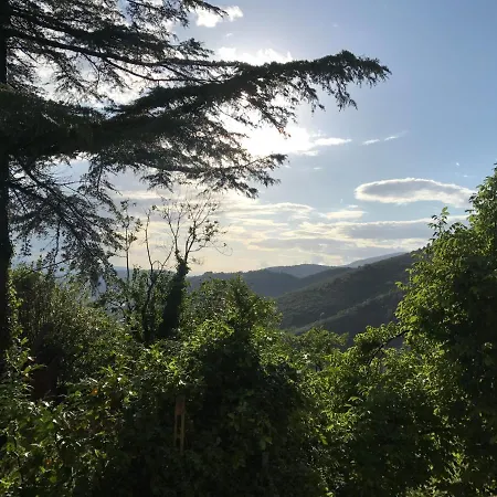 Hébergement de vacances I Pini E Il Ciliegio *