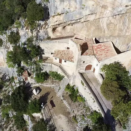 I Pini E Il Ciliegio * Pale