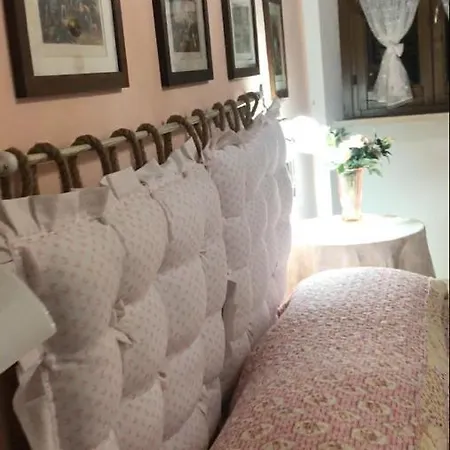 I Pini E Il Ciliegio