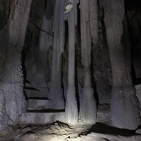 Hébergement de vacances I Pini E Il Ciliegio