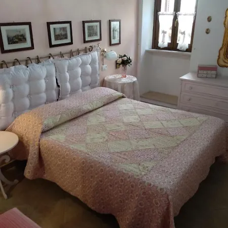 I Pini E Il Ciliegio *