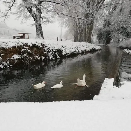 I Pini E Il Ciliegio Hébergement de vacances Pale