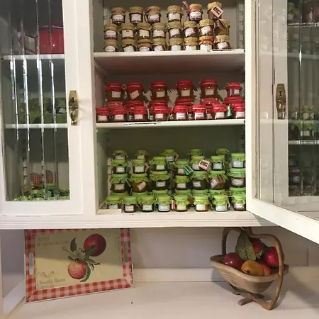 I Pini E Il Ciliegio *