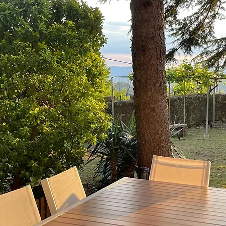 I Pini E Il Ciliegio Pale