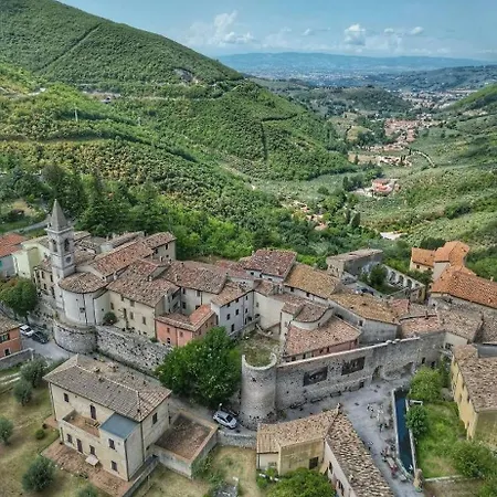 I Pini E Il Ciliegio *