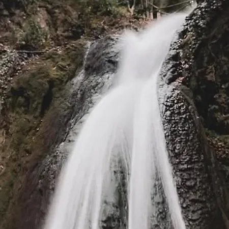 Hébergement de vacances I Pini E Il Ciliegio Pale