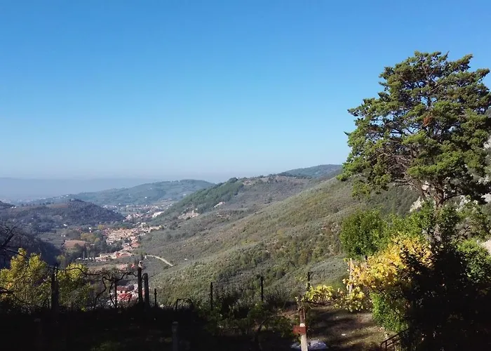 I Pini E Il Ciliegio * Pale