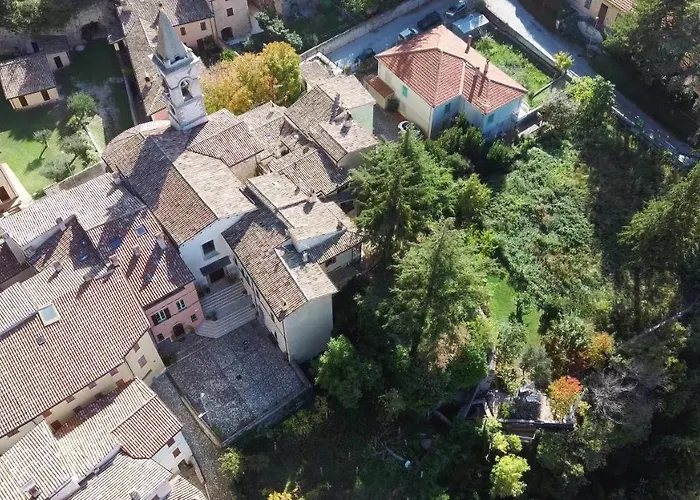 I Pini E Il Ciliegio *