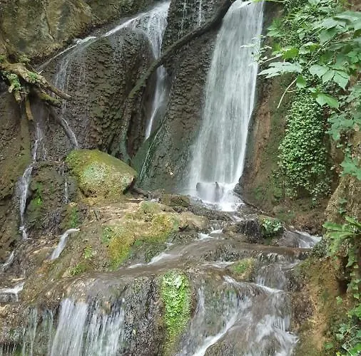 I Pini E Il Ciliegio Holiday home *