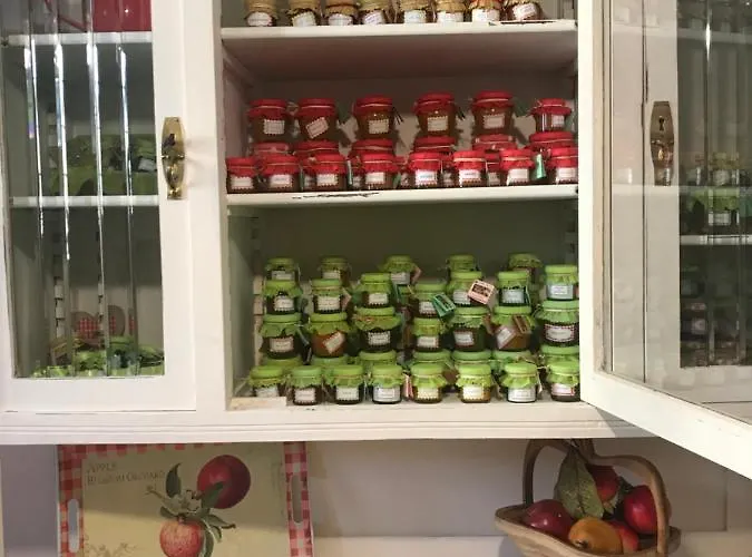 I Pini E Il Ciliegio *