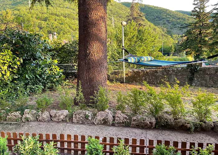 I Pini E Il Ciliegio *