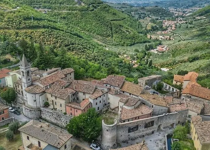 I Pini E Il Ciliegio *